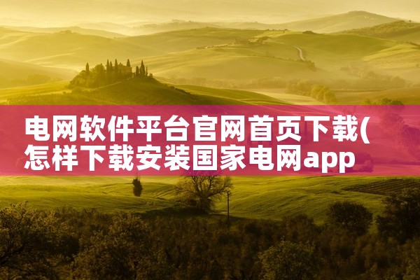 电网软件平台官网首页下载