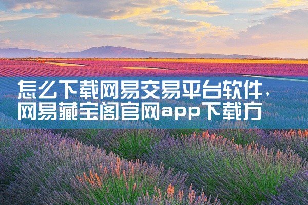怎么下载网易交易平台软件