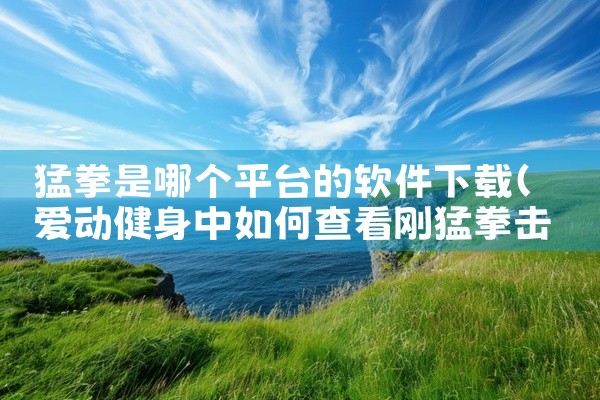 猛拳是哪个平台的软件下载