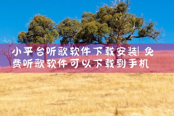 小平台听歌软件下载安装